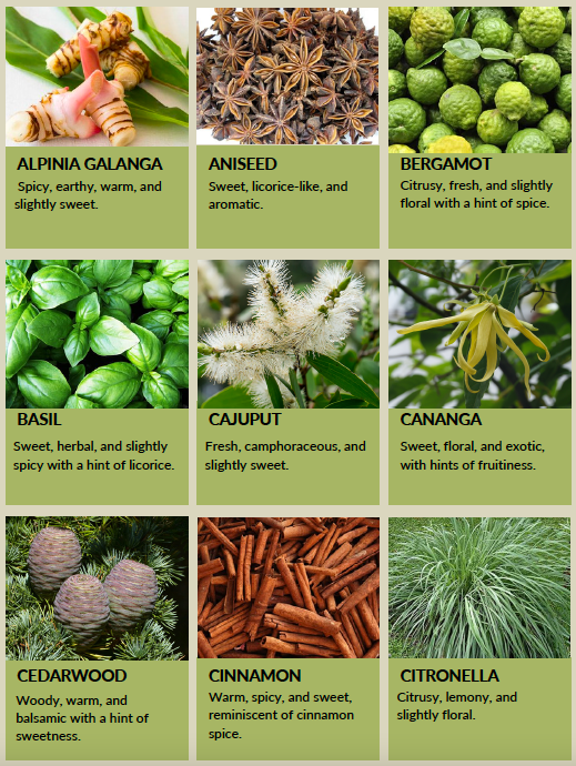 All Indonesian Export